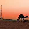 AAPG Explorer Article