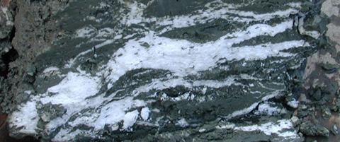 AAPG