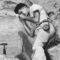 AAPG