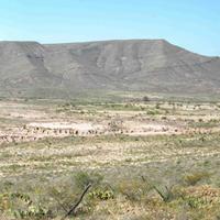 AAPG