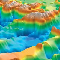 AAPG