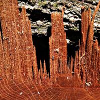 AAPG