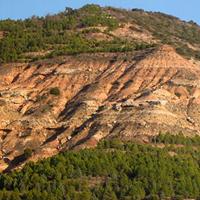 AAPG