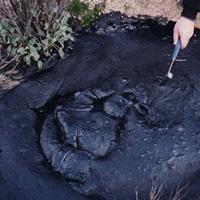 AAPG