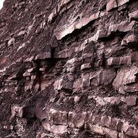 AAPG
