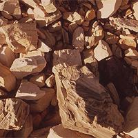 AAPG